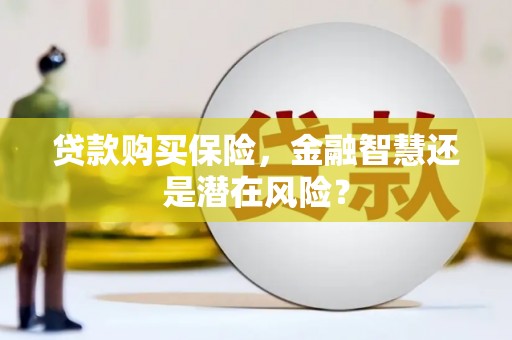 新蔡贷款购买保险，金融智慧还是潜在风险？