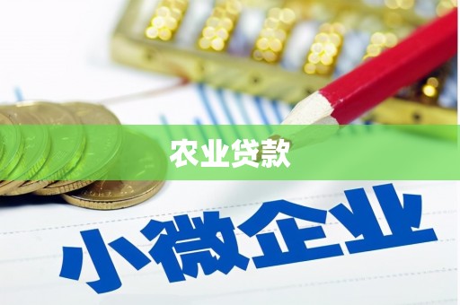 红原农业贷款