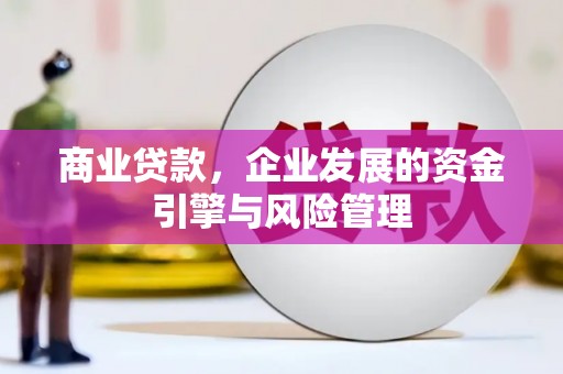 虎林商业贷款，企业发展的资金引擎与风险管理