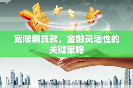 凤城宽限期贷款，金融灵活性的关键策略