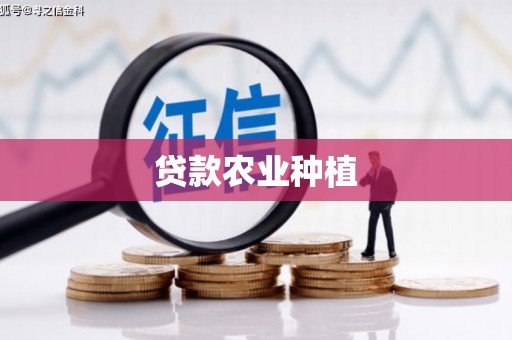 宁城贷款农业种植