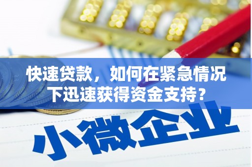 定远快速贷款，如何在紧急情况下迅速获得资金支持？