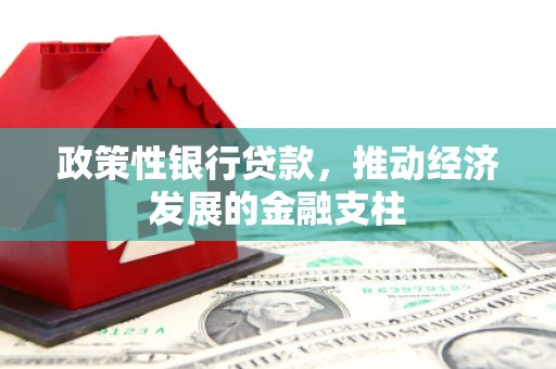 汤原政策性银行贷款，推动经济发展的金融支柱