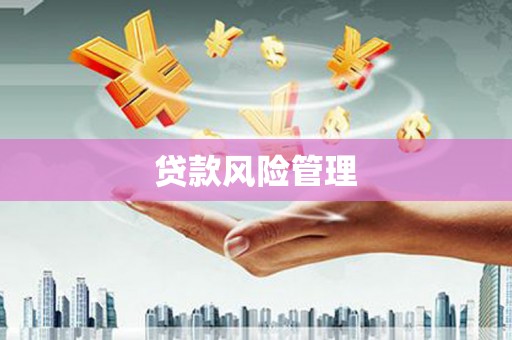 瑞芳贷款风险管理