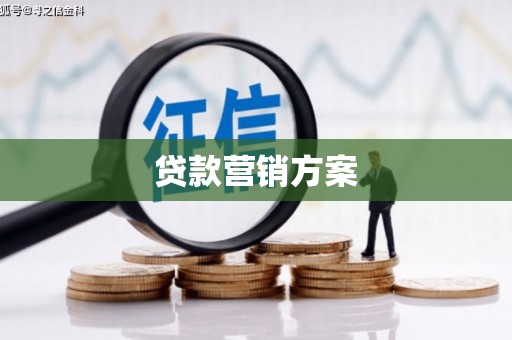 鸡东贷款营销方案