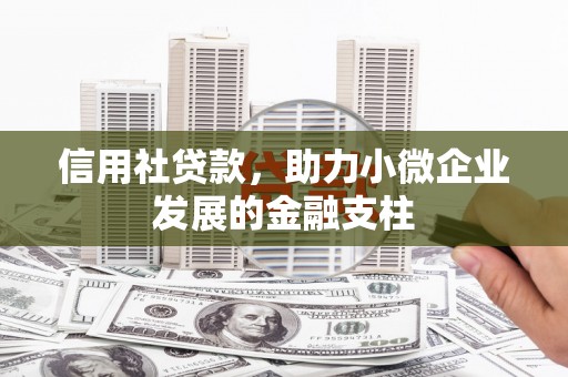 西华信用社贷款，助力小微企业发展的金融支柱
