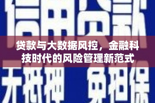 九原贷款与大数据风控，金融科技时代的风险管理新范式