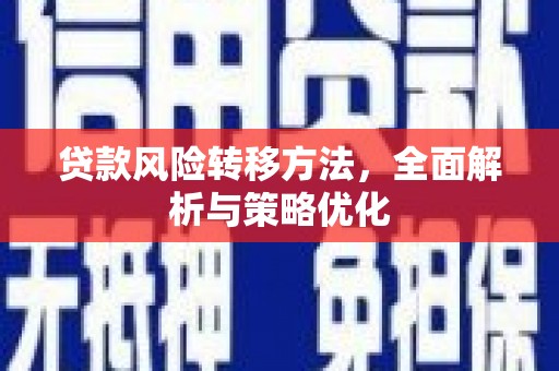 汉阳贷款风险转移方法，全面解析与策略优化