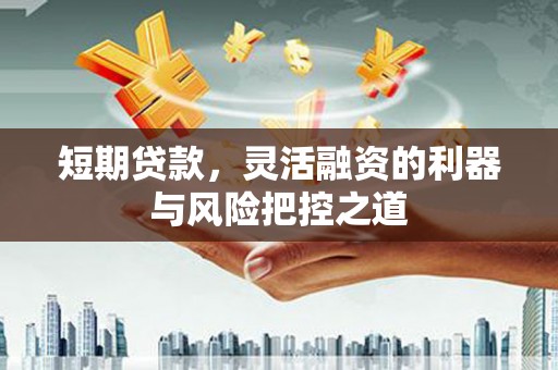 延平短期贷款，灵活融资的利器与风险把控之道