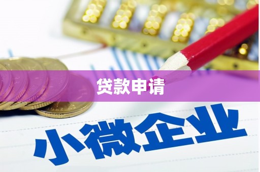 西夏贷款申请