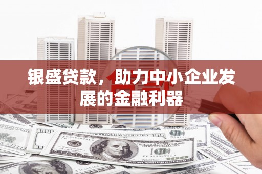 苍溪银盛贷款，助力中小企业发展的金融利器