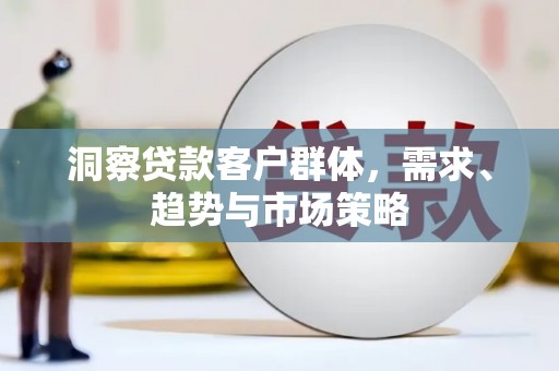 长岭洞察贷款客户群体，需求、趋势与市场策略