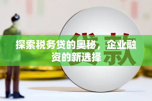 内埔探索税务贷的奥秘，企业融资的新选择