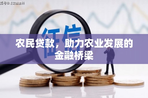 东乡族农民贷款，助力农业发展的金融桥梁