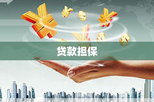 吴起贷款担保