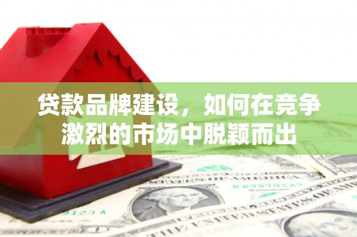 纳雍贷款品牌建设，如何在竞争激烈的市场中脱颖而出