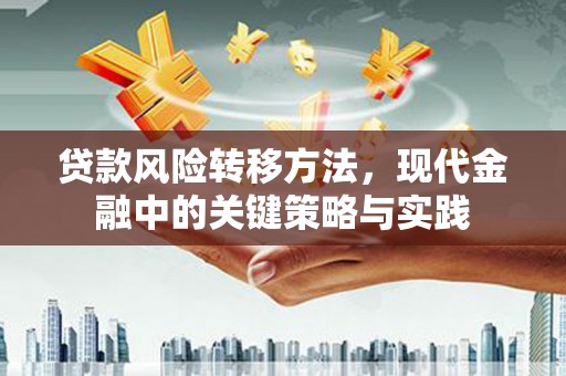文圣贷款风险转移方法，现代金融中的关键策略与实践