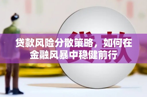 衢州贷款风险分散策略，如何在金融风暴中稳健前行