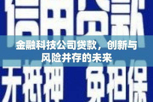 罗田金融科技公司贷款，创新与风险并存的未来