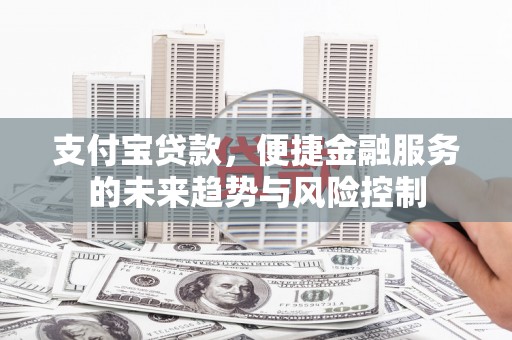 山阳支付宝贷款，便捷金融服务的未来趋势与风险控制
