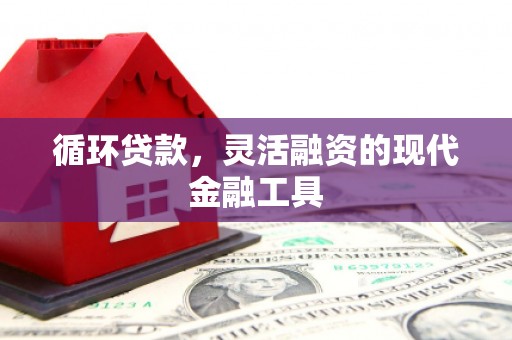 南宫循环贷款，灵活融资的现代金融工具