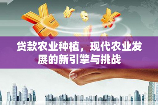 漳州贷款农业种植，现代农业发展的新引擎与挑战