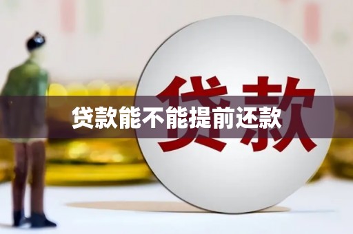 太保贷款能不能提前还款