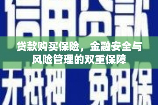 壶关贷款购买保险，金融安全与风险管理的双重保障