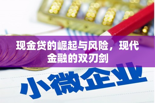 上林现金贷的崛起与风险，现代金融的双刃剑