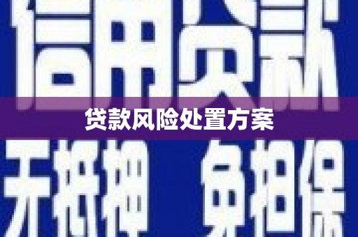 阿拉山口贷款风险处置方案