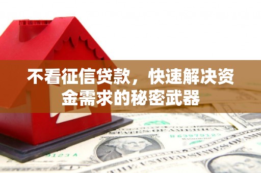 金阳不看征信贷款，快速解决资金需求的秘密武器