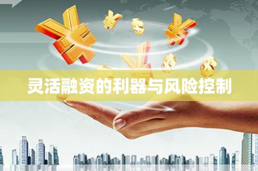 鹿泉灵活融资的利器与风险控制