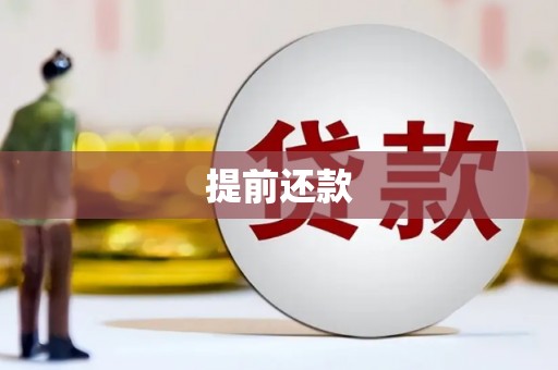 国姓提前还款