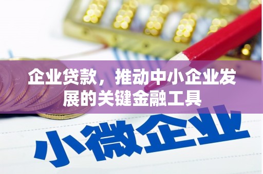金湾企业贷款，推动中小企业发展的关键金融工具