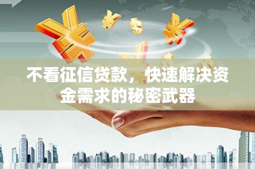 云龙不看征信贷款，快速解决资金需求的秘密武器