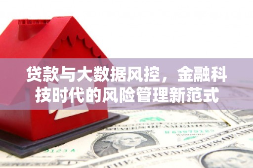 嵩县贷款与大数据风控，金融科技时代的风险管理新范式