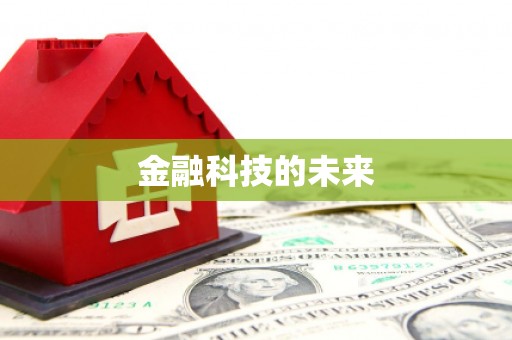 伊犁哈萨克金融科技的未来