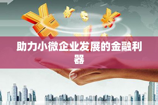 启东助力小微企业发展的金融利器
