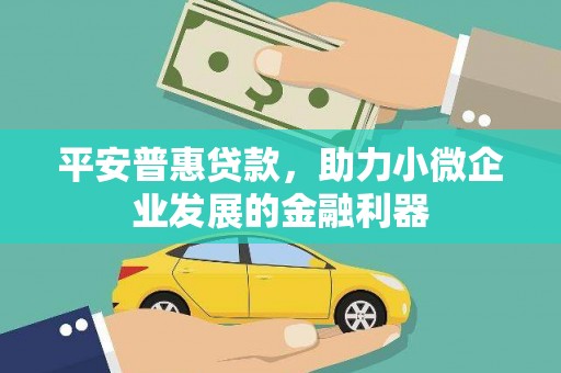 宜章平安普惠贷款，助力小微企业发展的金融利器