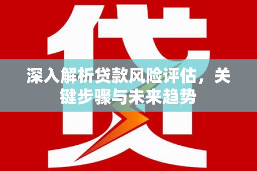 河池深入解析贷款风险评估，关键步骤与未来趋势