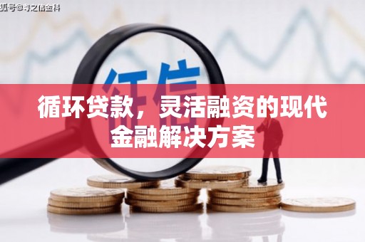 武邑循环贷款，灵活融资的现代金融解决方案