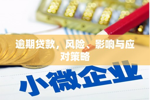 丰城逾期贷款，风险、影响与应对策略