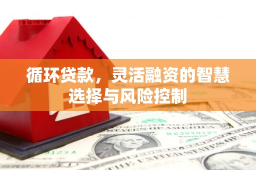 忻府循环贷款，灵活融资的智慧选择与风险控制