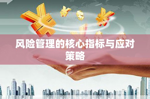隆子风险管理的核心指标与应对策略