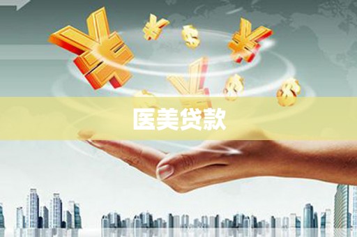张湾医美贷款