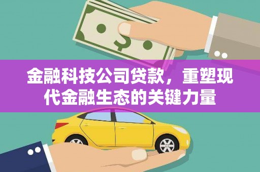 南丰金融科技公司贷款，重塑现代金融生态的关键力量
