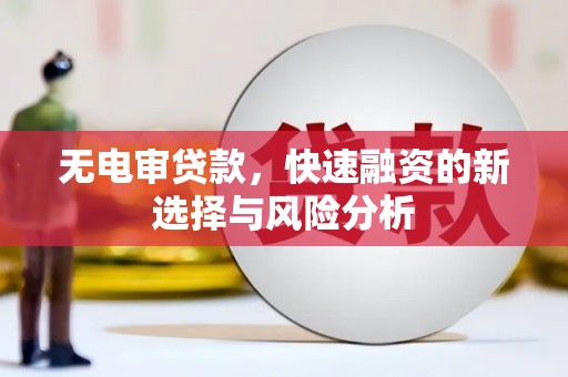 即墨无电审贷款，快速融资的新选择与风险分析