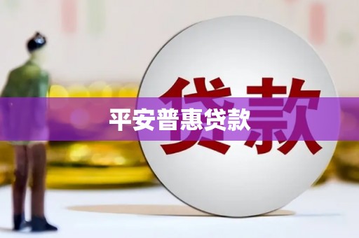 谢家集平安普惠贷款