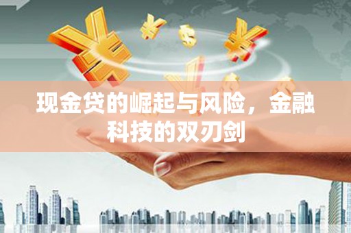 梅山现金贷的崛起与风险，金融科技的双刃剑