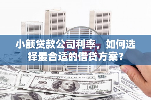 绥德小额贷款公司利率，如何选择最合适的借贷方案？